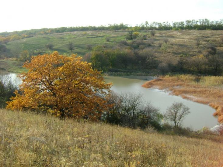 Придніпрянське з panoramio.com - Придніпрянське