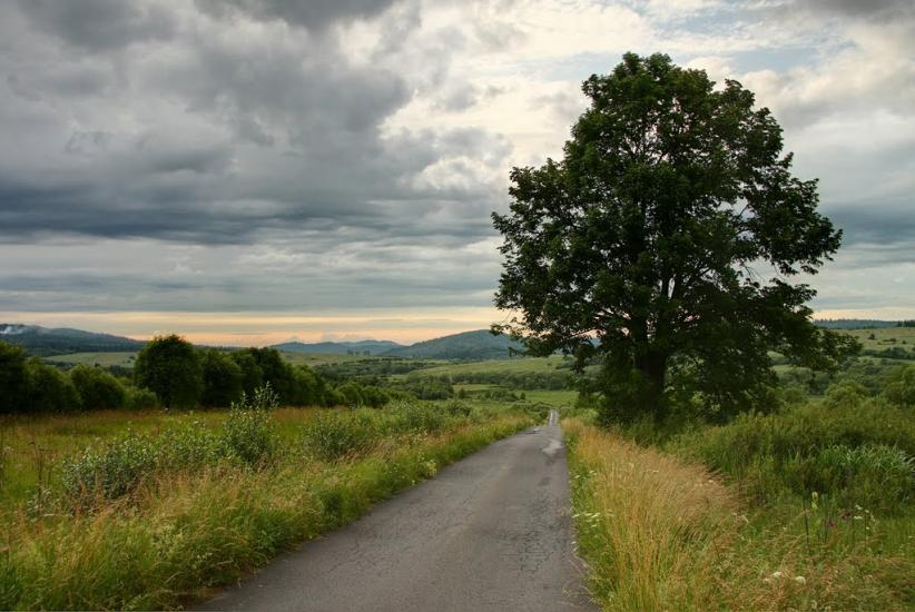 Шандровець з panoramio.com - Shandrovets