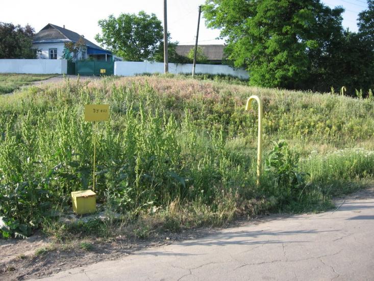 Кищенці з panoramio.com - Кищенцы