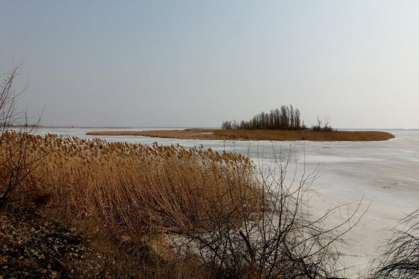 Світлогірське з panoramio.com - Светлогорское