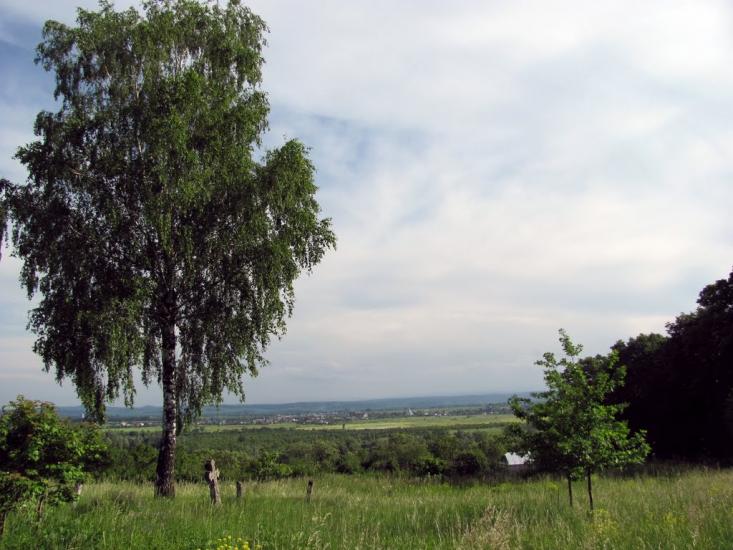 Будилів з panoramio.com - Будилів