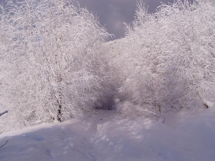 Руський Мочар з panoramio.com - Русский Мочар