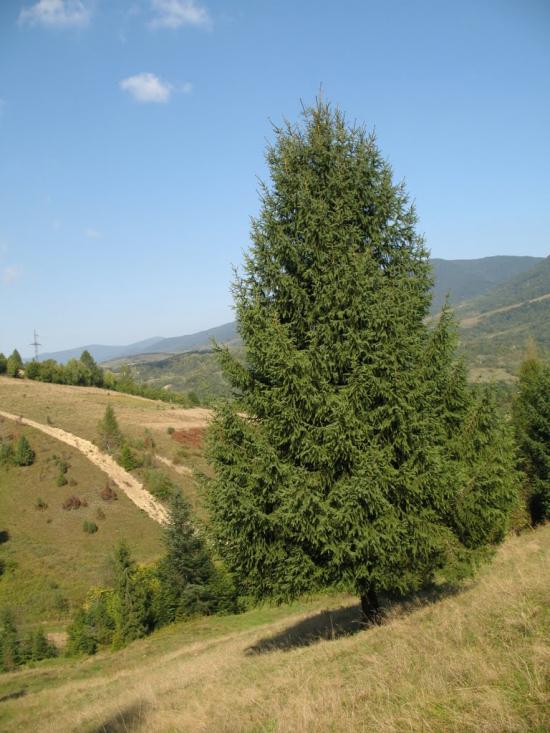Ставне з panoramio.com - Ставное