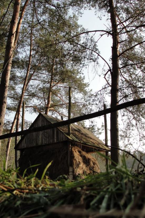 Клепачів з panoramio.com - Клепачів