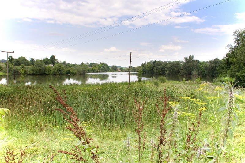 Війтівці з panoramio.com - Війтівці