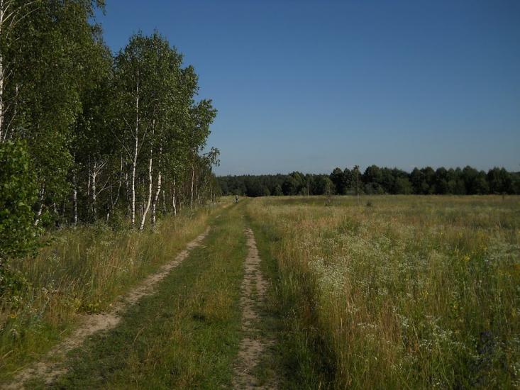 Струмок з panoramio.com - Струмок