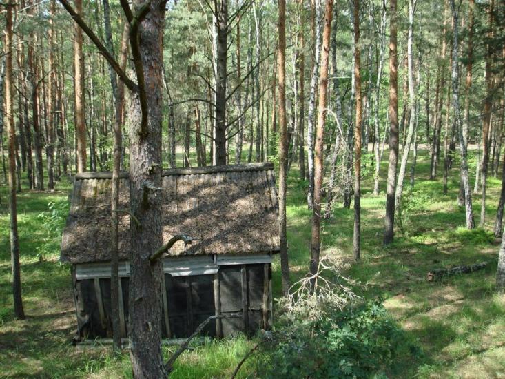 Хрипськ з panoramio.com - Khrypsk