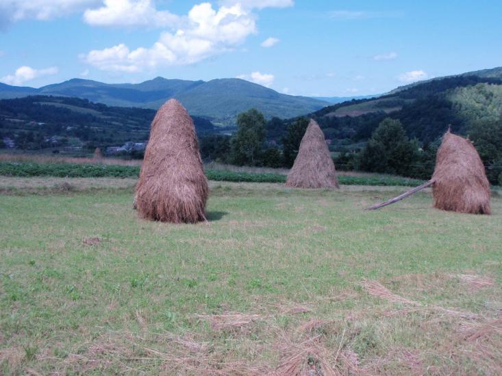 Ставне з panoramio.com - Ставное