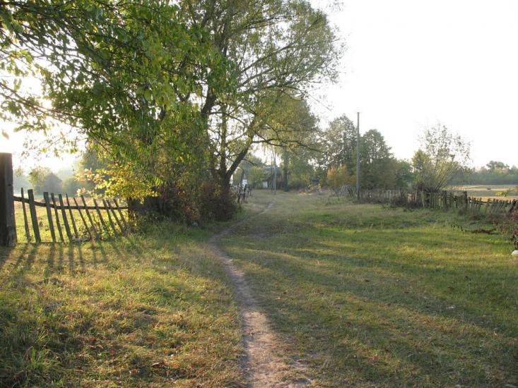Осіч з panoramio.com - Osich