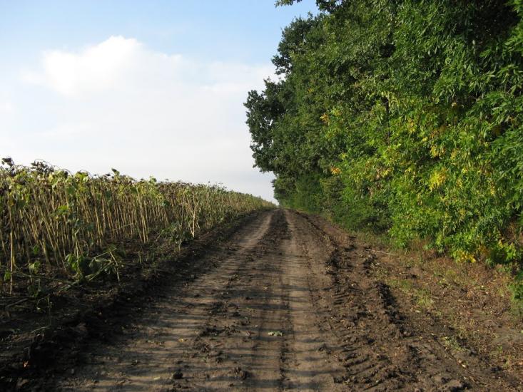 Кисле з panoramio.com - Кислое