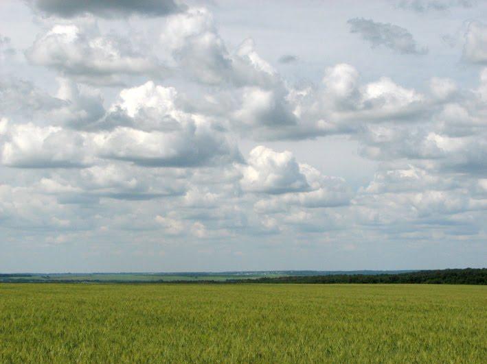Бірки з panoramio.com - Бірки