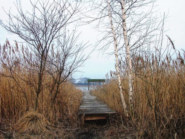 Товкачівка з panoramio.com - Товкачівка