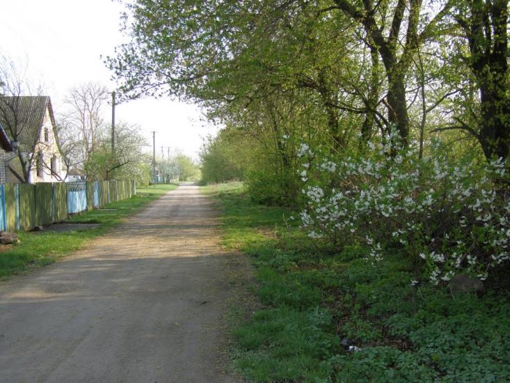Пінчуки з panoramio.com - Пинчуки