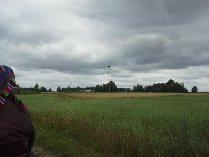 Сошники з panoramio.com - Сошники