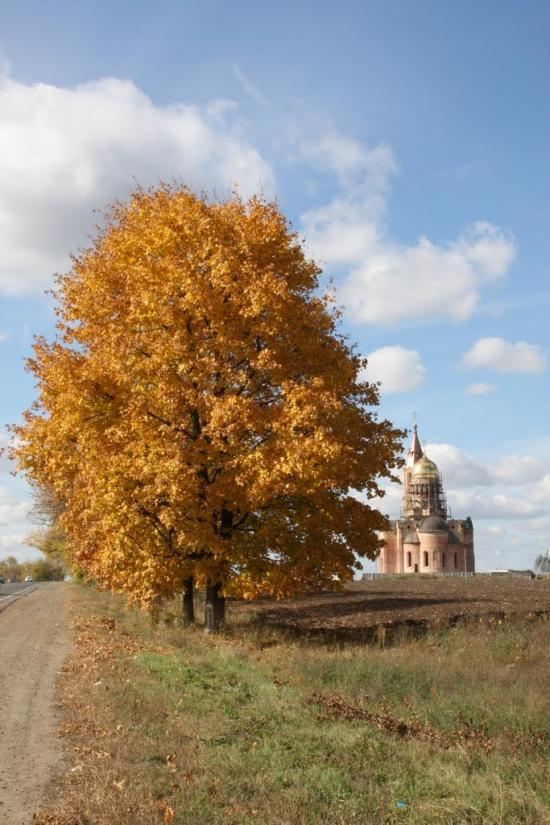 Великий Дальник з panoramio.com - Великий Дальник