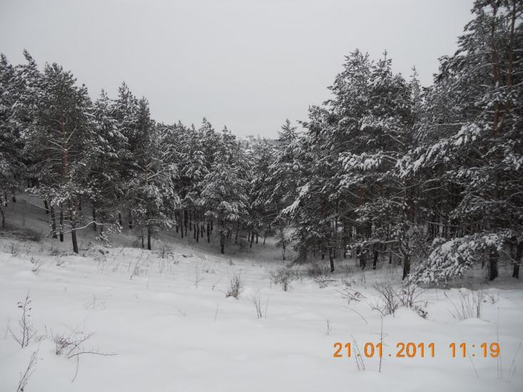 Могриця з panoramio.com - Mogrytsya
