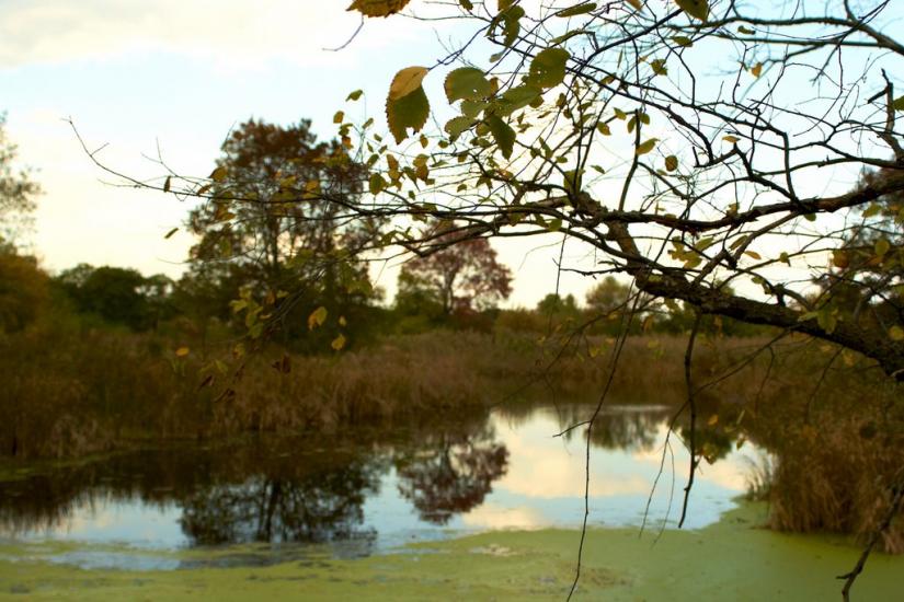 Орлівщина з panoramio.com - Орловщина