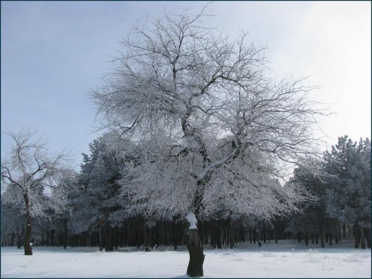 Малокаховка з panoramio.com - Малокаховка