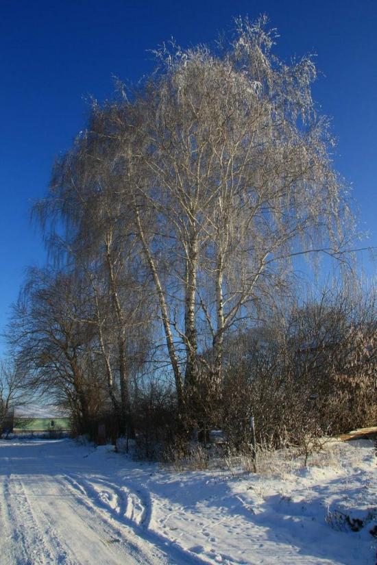 Ільпінь з panoramio.com - Ільпінь