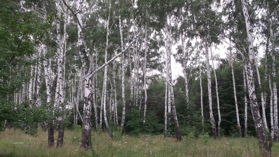 Кирияківщина з panoramio.com - Кирияковщина