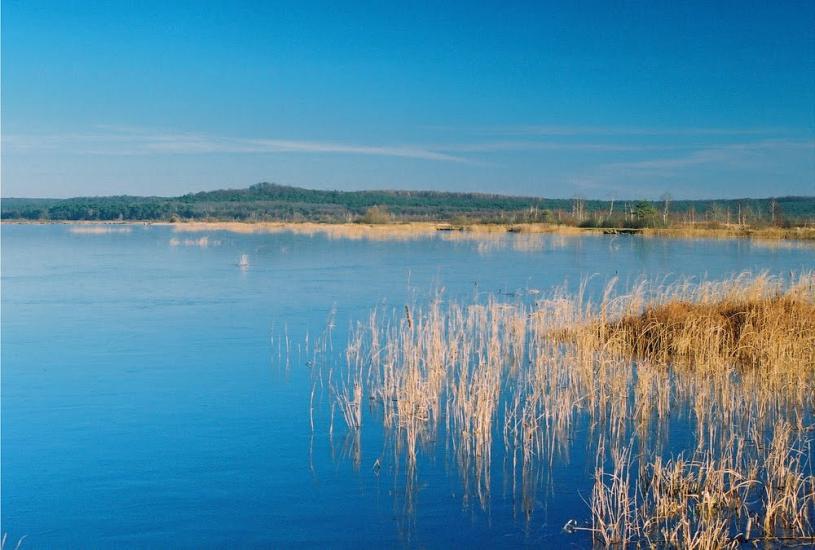 Івано-Франкове з panoramio.com - Ivano-Frankove
