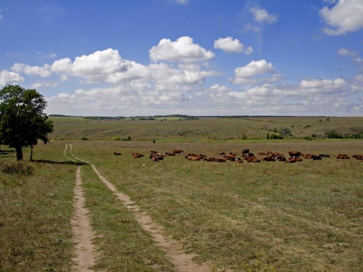 Недайвода з panoramio.com - Nedayvoda
