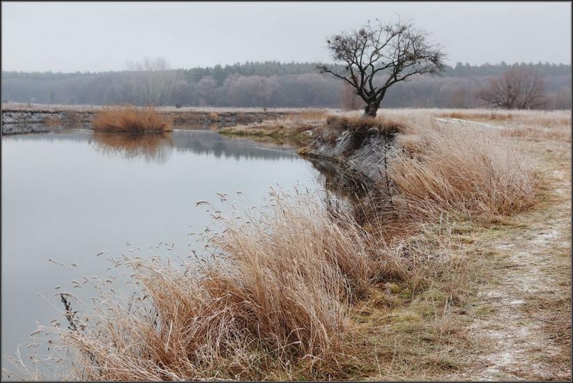 Мохнач з panoramio.com - Мохнач