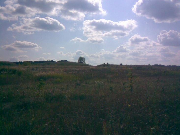Залиман з panoramio.com - Залиман