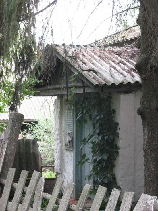 Осіч з panoramio.com - Osich