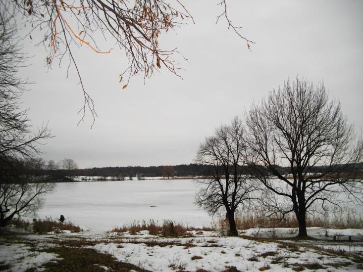 Озеро з panoramio.com - Озеро