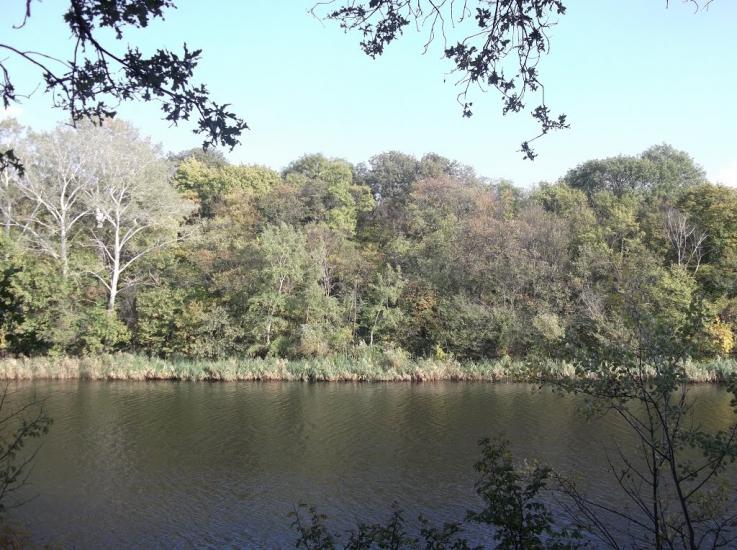Хащеве з panoramio.com - Хащеве
