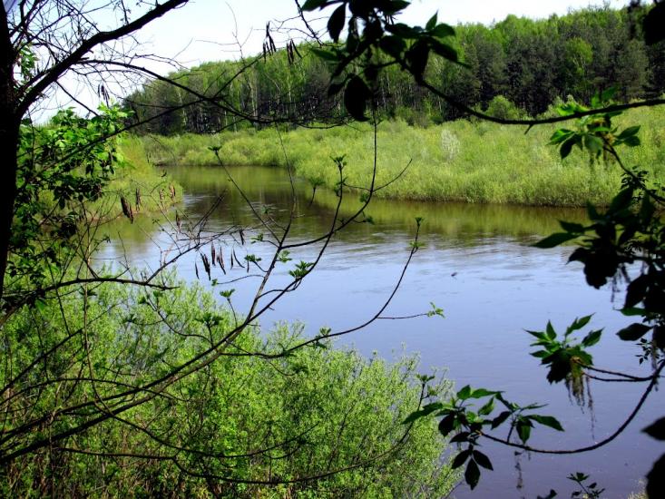 Сарни з panoramio.com - Сарни