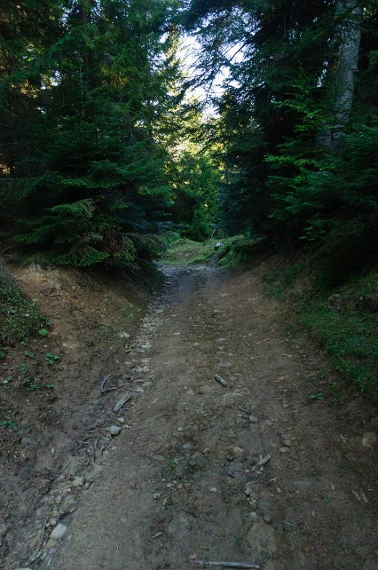 Ужок з panoramio.com - Uzhok