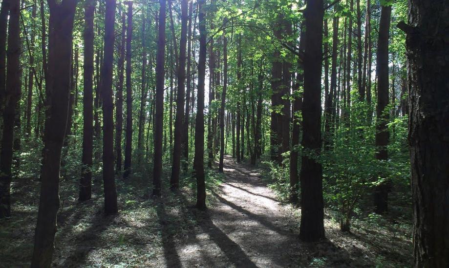 Козлин з panoramio.com - Козлин