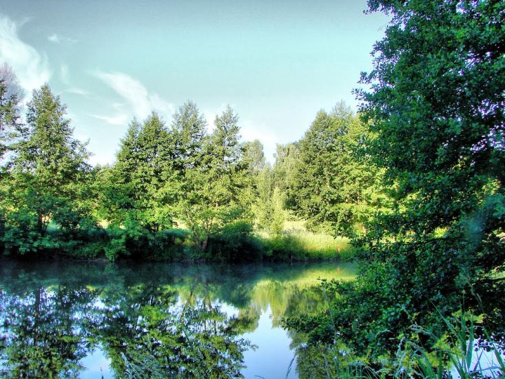 Миропіль з panoramio.com - Мирополь