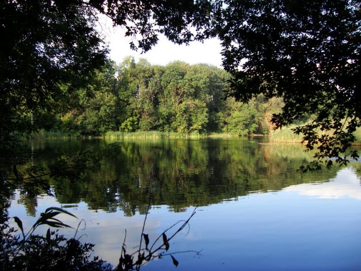 Піщанка з panoramio.com - Песчанка