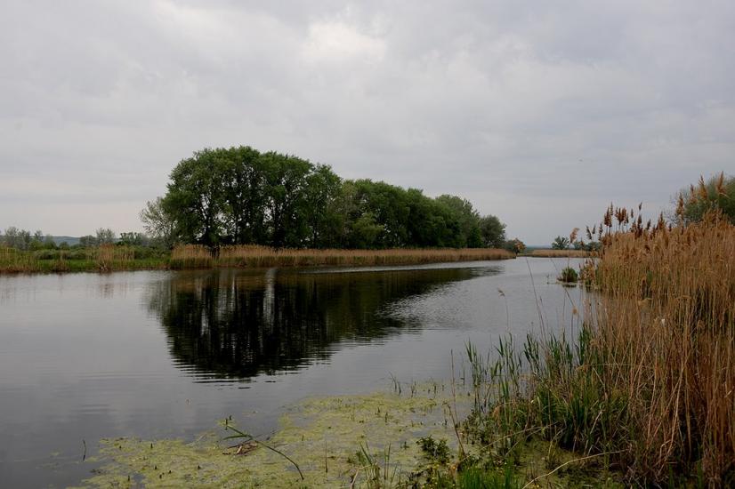 Ямпіль з panoramio.com - Ямпіль