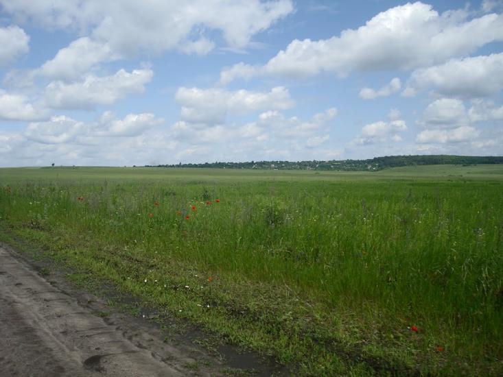 Давидківці з panoramio.com - Давыдковцы