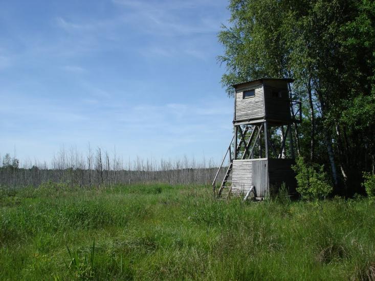 Хрипськ з panoramio.com - Khrypsk