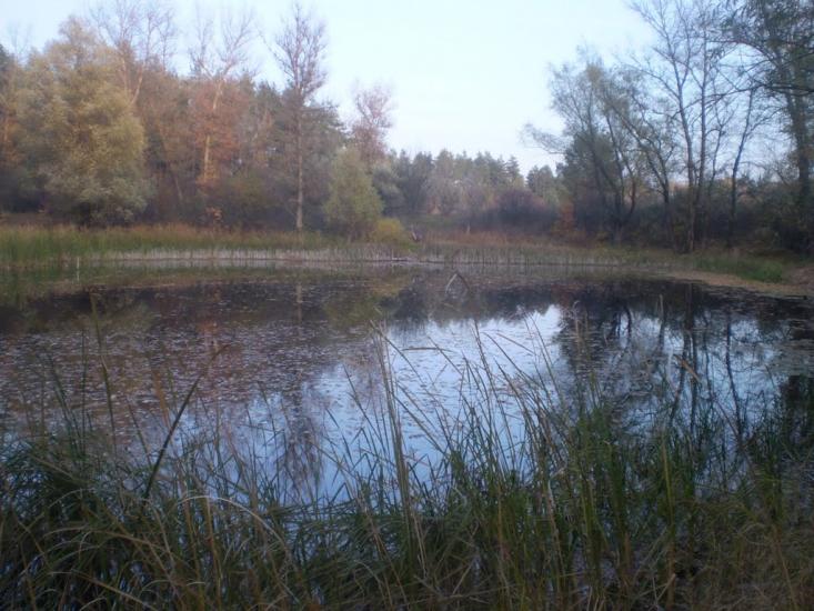 Кобеляки з panoramio.com - Кобеляки