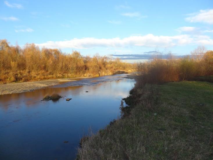 Купка з panoramio.com - Купка