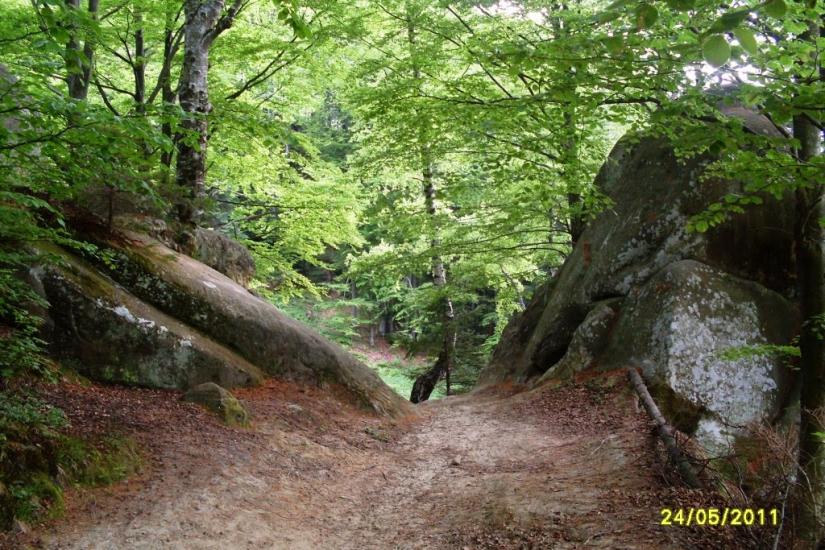 Хорови з panoramio.com - Хоровы