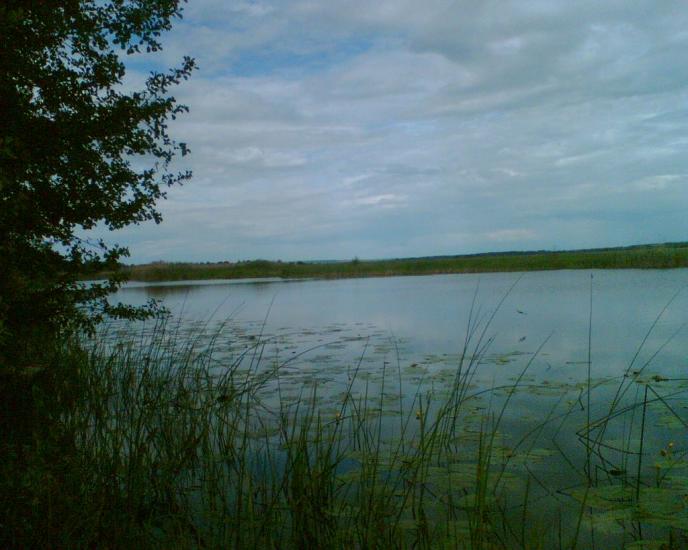 Любитове з panoramio.com - Любитове