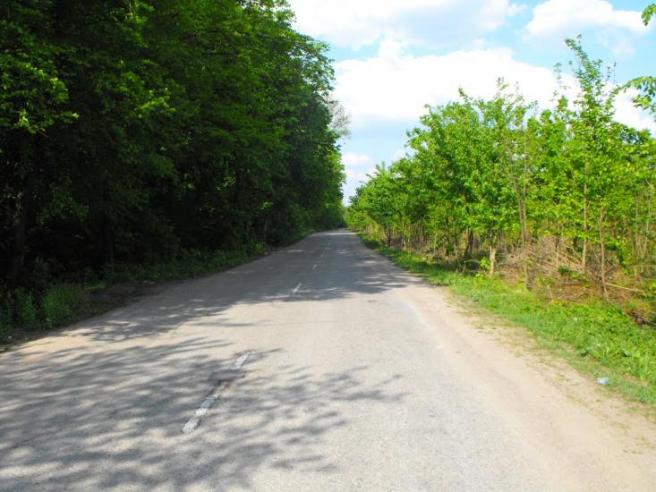 Тараща з panoramio.com - Тараща