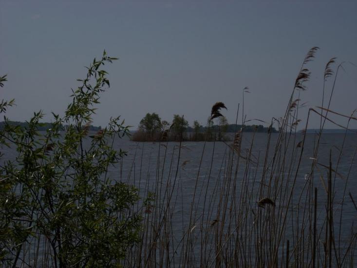 Святилівка з panoramio.com - Святиловка