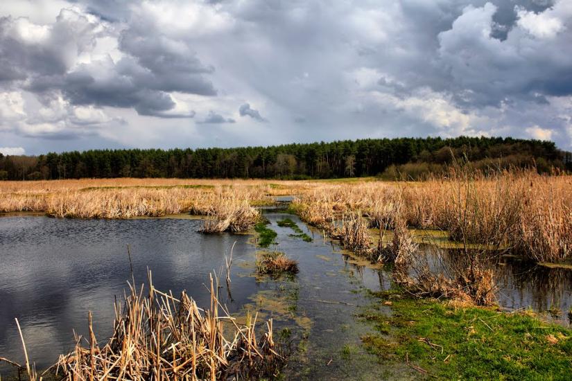 Іванів з panoramio.com - Иванов
