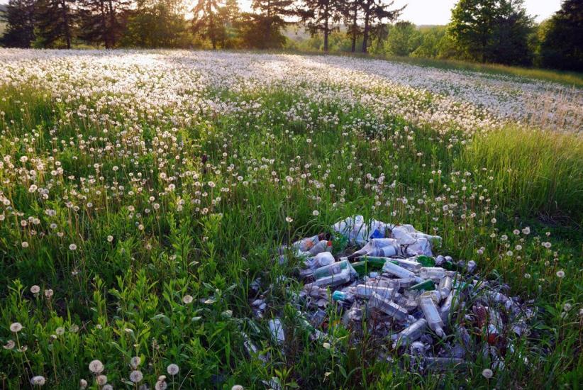 Городнє з panoramio.com - Городнее