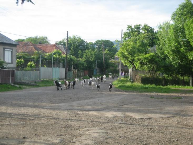 Худльово з panoramio.com - Худлово