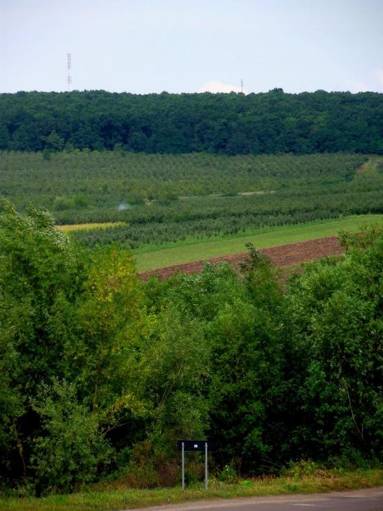 Садківці з panoramio.com - Садківці
