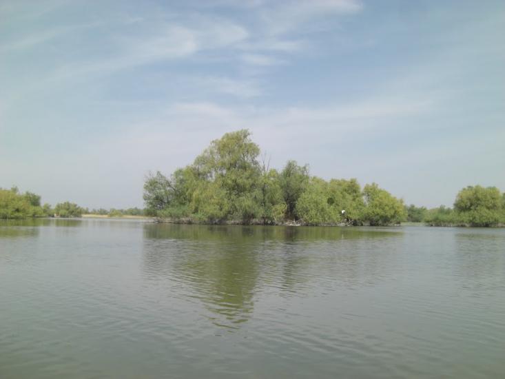 Дунайське з panoramio.com (ч.2) - Дунайське